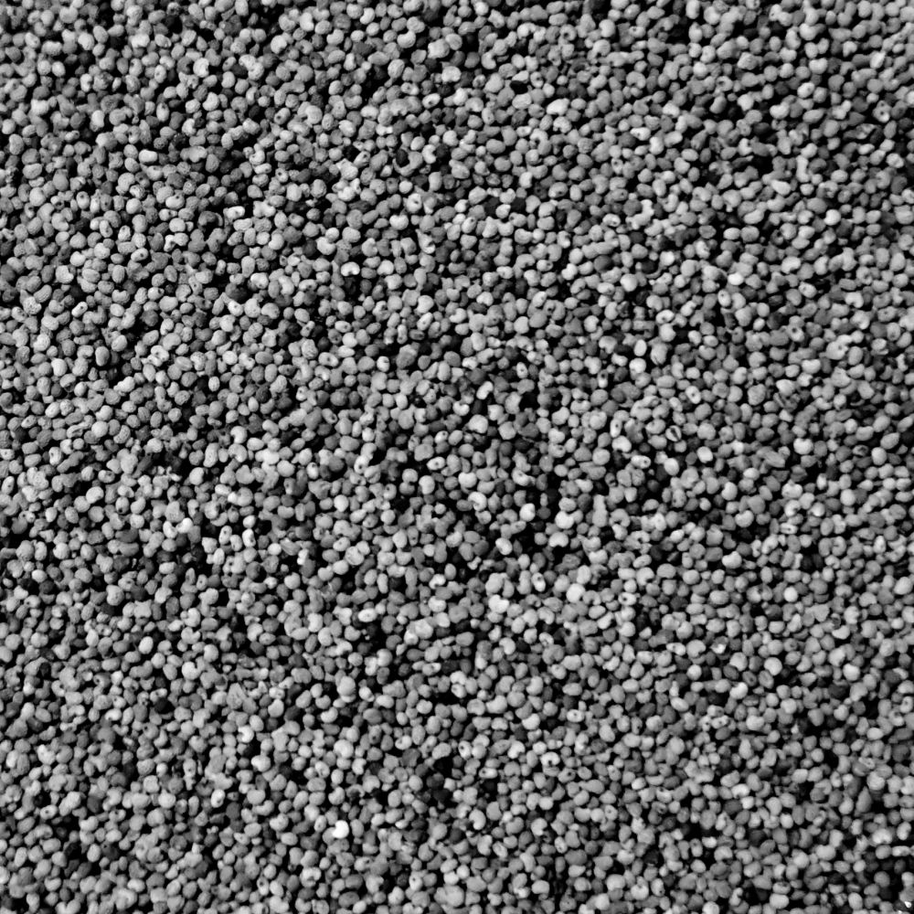 Quartalsbild 3 Joya Lingg